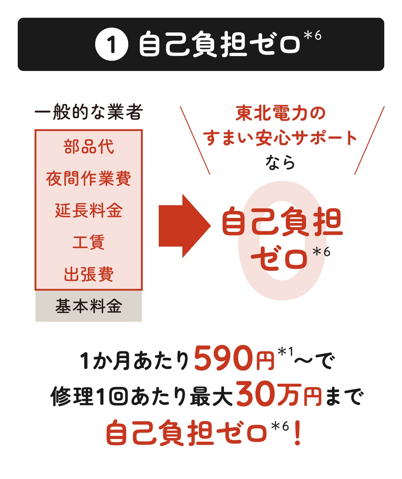 （1）自己負担ゼロ＊6